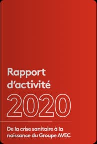 Rapport 2020